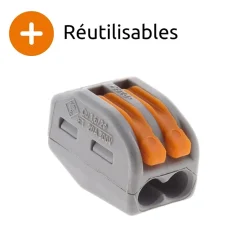 Borne rapide automatique à cliquet S222 - 2 entrées - Wago