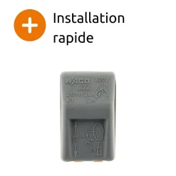 Borne rapide automatique à cliquet S222 - 2 entrées - Wago