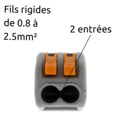 Borne rapide automatique à cliquet S222 - 2 entrées - Wago