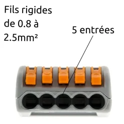 Borne rapide automatique à cliquet S222 - 5 entrées - Wago