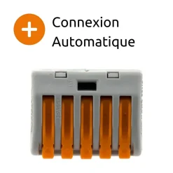 Borne rapide automatique à cliquet S222 - 5 entrées - Wago