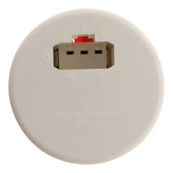 Boîte DCL point de centre murs diamètre 65mm Zenitech