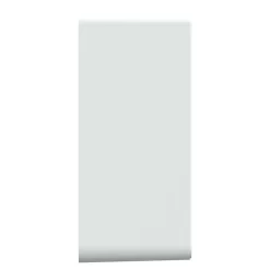 Boîte d'encastrement diamètre 36 mm Schneider Electric Ovalis blanc