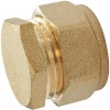 Bouchon bicône Somatherm for you en laiton à compression pour tube de cuivre Ø 12 mm