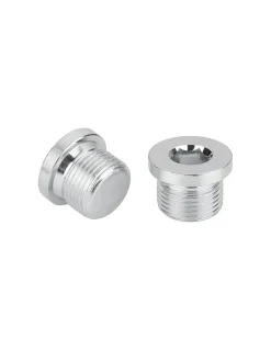Bouchon Hexagonal creux à collerette Clé de 6 HC6 Inox A2 M12X15 Pas de 150 - 50 pièces