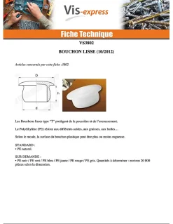 Bouchon Lisse 25X32 LG13 Nylon RAL1020 - 30 pièces