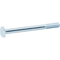 Boulon de charpente galvanisé 14 x 160 mm