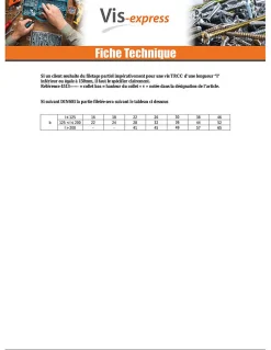 Boulon (vendu avec Ecrou) TRCC JAPY tête ronde collet carré M6X60 Filetage total Acier zingué - 30 pièces