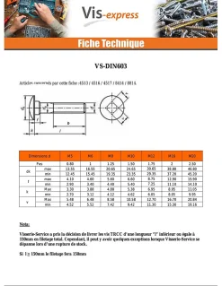 Boulon (vendu avec Ecrou) TRCC JAPY tête ronde collet carré M6X60 Filetage total Acier zingué - 30 pièces