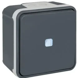 Bouton poussoir lumineux 10A - IP55 - OXXO Couleur Gris