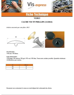 Cache tête Plastique Phillips de 2 RAL9002 blan gris Nylon Blanc Gris - 50 pièces