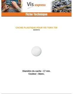 Cache vis TORX TORX T30 Diamètre de tête: 17 nylon blanc - 100 pièces