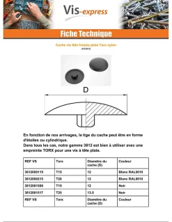 Cache vis Tête fraisée TORX TORX T20 Diamètre de tête: 12 Nylon RAL9010 blanc pur - 1 pièce
