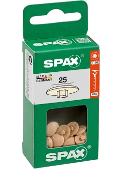 Cache-vis vis torx T20 beige 25 pièces