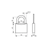 Cadenas à clé Cinox, inox, extérieur, anse inox, 60mm, 3 clés - THIRARD