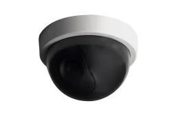 Caméra de vidéosurveillance intérieure factice Chacon
