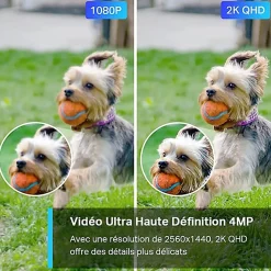 Caméra de vidéosurveillance extérieure connectée TP-Link Tapo C320WS 2K HD