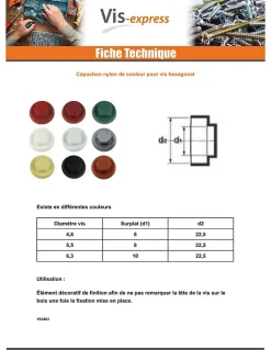 Capuchon plastique Vis Diamètre 6.3 Surplat 10 RAL6028 - 100 pièces