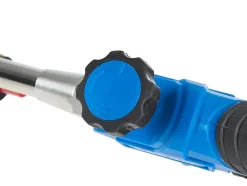 Chalumeau gaz Charpentier 60mm PROFI - 70 cm Tuyau 5 m Réducteur Inclus