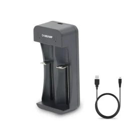 Chargeur rapide à 2 canaux pour batteries lithium-ion