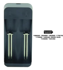 Chargeur rapide à 2 canaux pour batteries lithium-ion