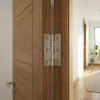 Charnière inox Diall 70 x 40 mm vendue par 2