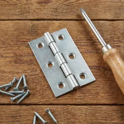 Charnière inox Diall 70 x 40 mm vendue par 2