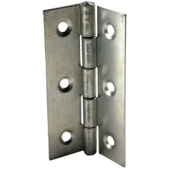 Charnière inox Diall 70 x 40 mm vendue par 2