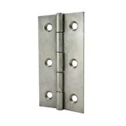 Charnière inox Diall 50 x 30 mm vendue par 2