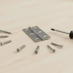 Charnière inox Diall 60 x 35 mm vendue par 2