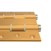 Charnière va et vient à ressort, 120X40 mm, en aluminium anodisée or, pour porte de 40 mm.