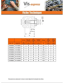 Chevilles à frapper EA II - Acier, électro zingué-48406 (boite de 25 pieces)