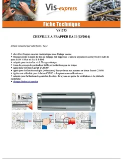 Chevilles à frapper EA II - Acier, électro zingué-48406 (boite de 25 pieces)