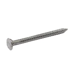 Clous à tige annelée 2x25 mm - sachet de 125g Diall
