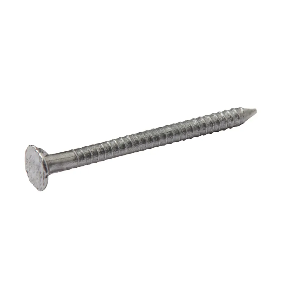 Clous à tige annelée 2x25 mm - sachet de 125g Diall