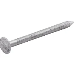 Clous à tige annelée 2x25 mm - boîte de 1kg Diall