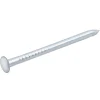 Clous à tête bombée en acier zingués 1,5x25 - 125g