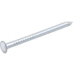 Clous à tête bombée en acier zingués 1,5x25 - 125g
