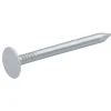 Clous à tête plate en acier galvanisé 3x40 - 1kg