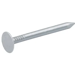 Clous à tête plate en acier galvanisé 3x40 - 1kg