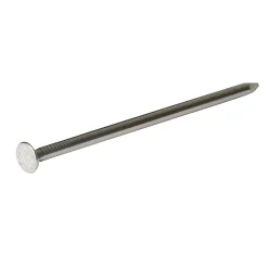 Clous à tête plate en acier galvanisé 2,4x50 - 125g