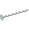 Clous à tête plate en acier galvanisé 3x50 - 2kg
