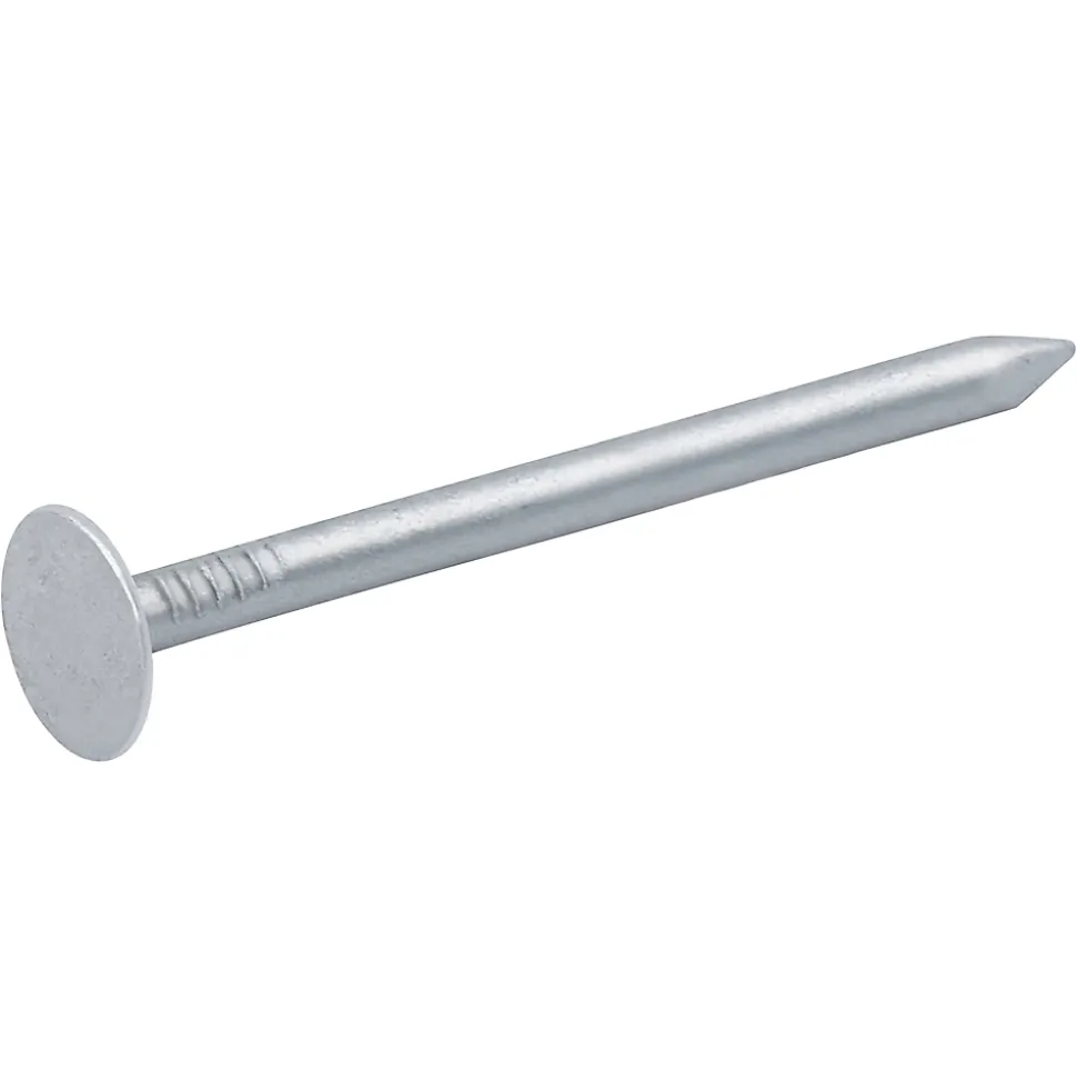Clous à tête plate en acier galvanisé 3x50 - 1kg