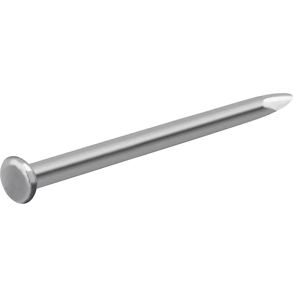 Clous à tête plate en acier galvanisé 1,5x20 - 125g