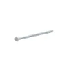 Clous à tête plate en acier galvanisé 4,5x100 - 125g