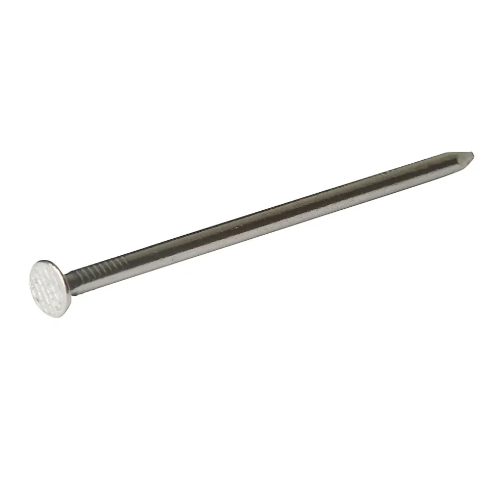 Clous à tête plate en acier galvanisé 2,7x50 - 1kg