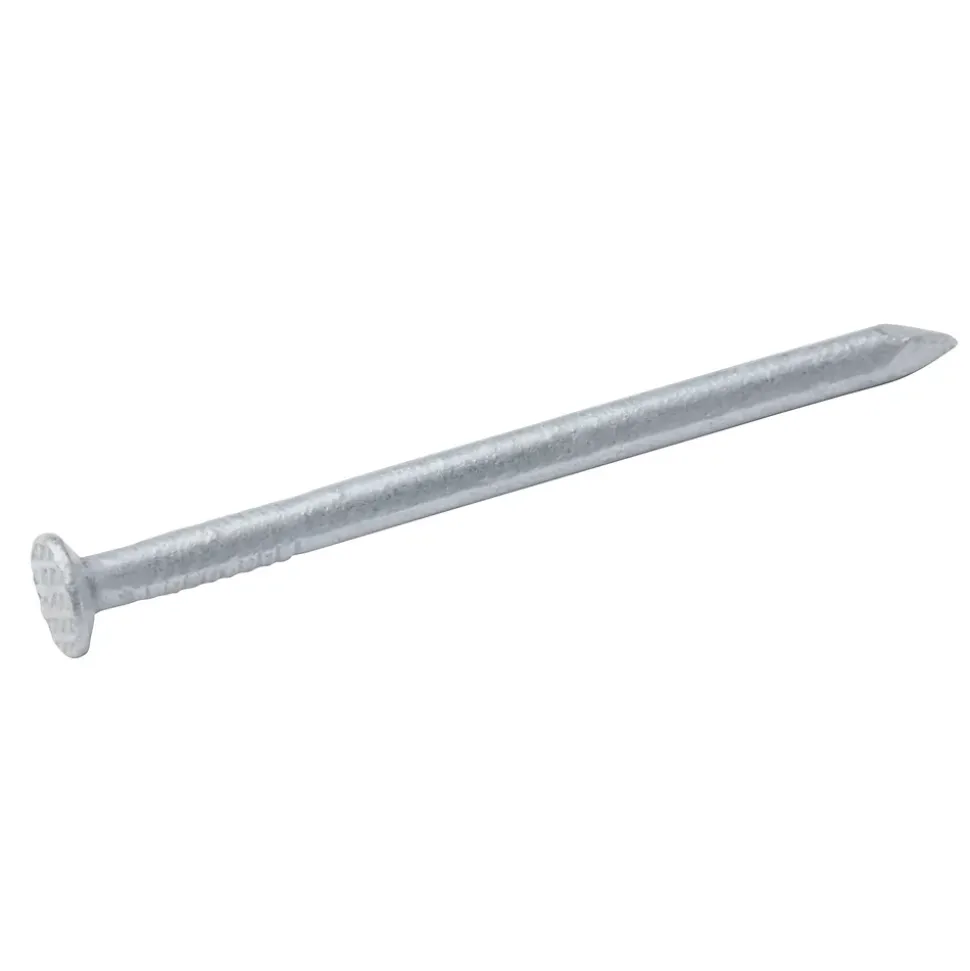 Clous à tête plate en acier galvanisé 2,4x40 - 125g