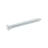 Clous de maçon en acier galvanisé 3,4x40 - 125g