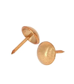 Clous Ronds d'Ameublement Décoratifs - Lot de 150