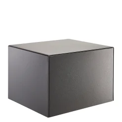 Coffre-fort Burg-Wachter Combi-line CL 420 E